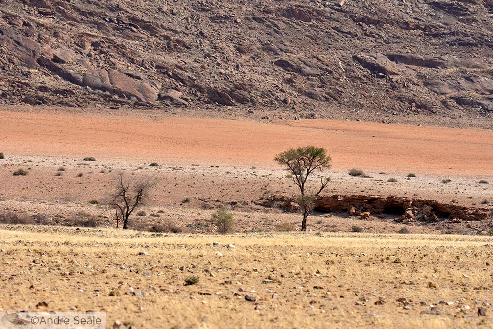 Beira da estrada para Solitaire - Cinco dias na Namíbia