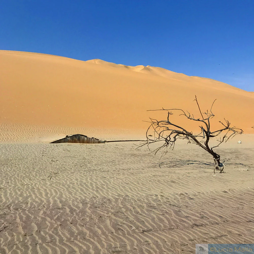 Cinco dias na Namíbia - Sandwich Harbor