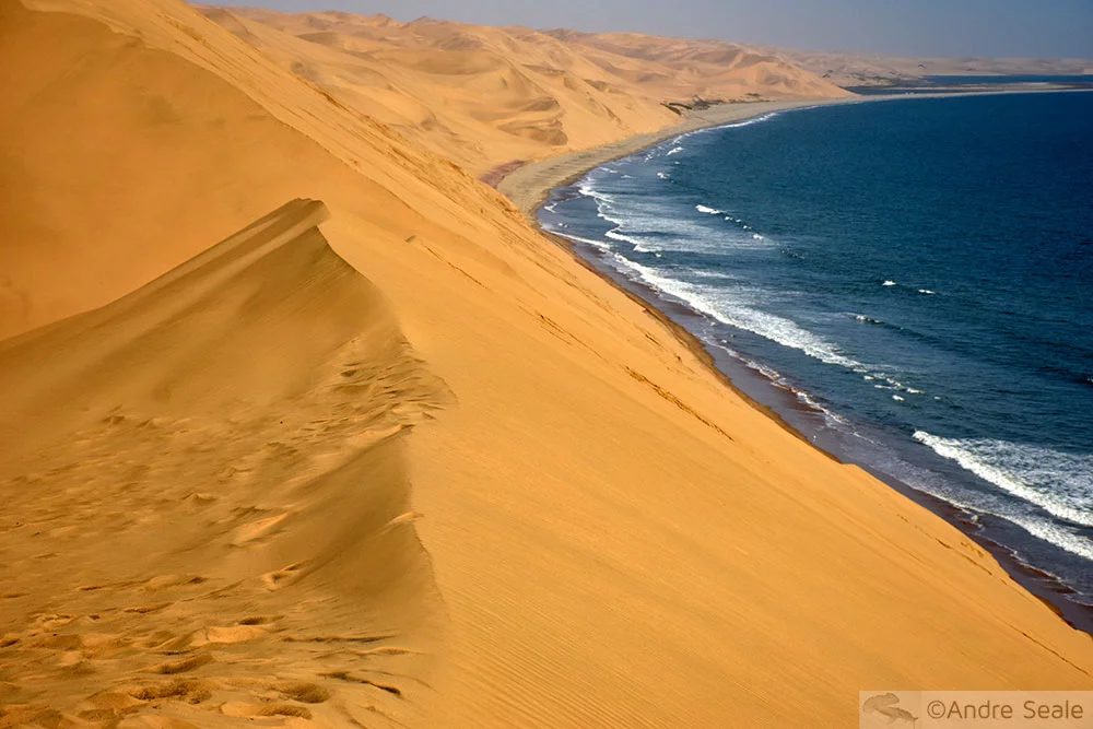 Duna do Deserto da Namíba e o Oceano Atlântico Sul