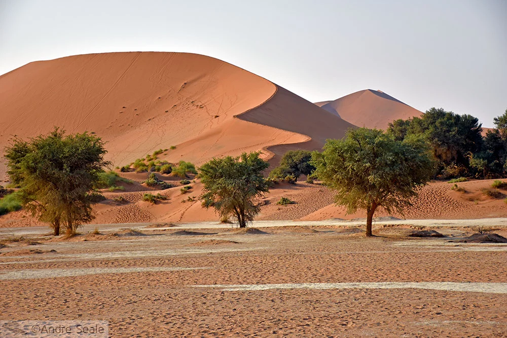 Sossusvlei - Cinco dias na Namíbia