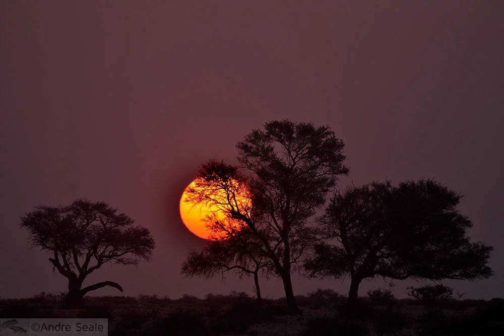 Por do sol - Namíbia