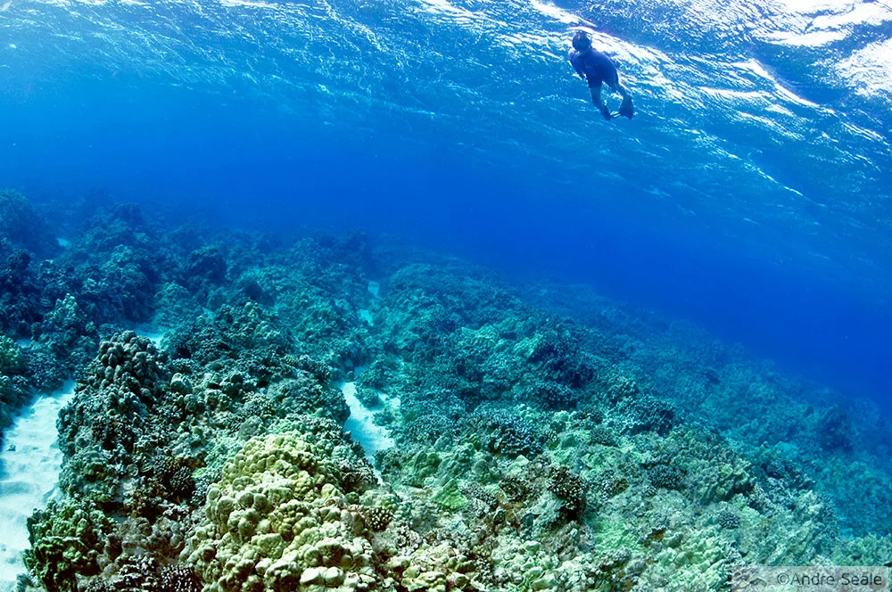 Snorkel em Molokai - Havaí