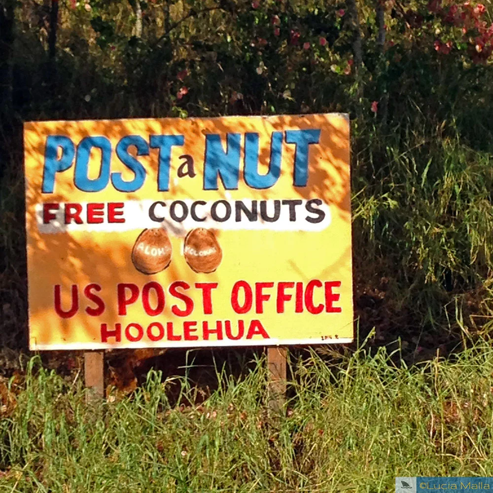 Post a nut - Molokai - Havaí