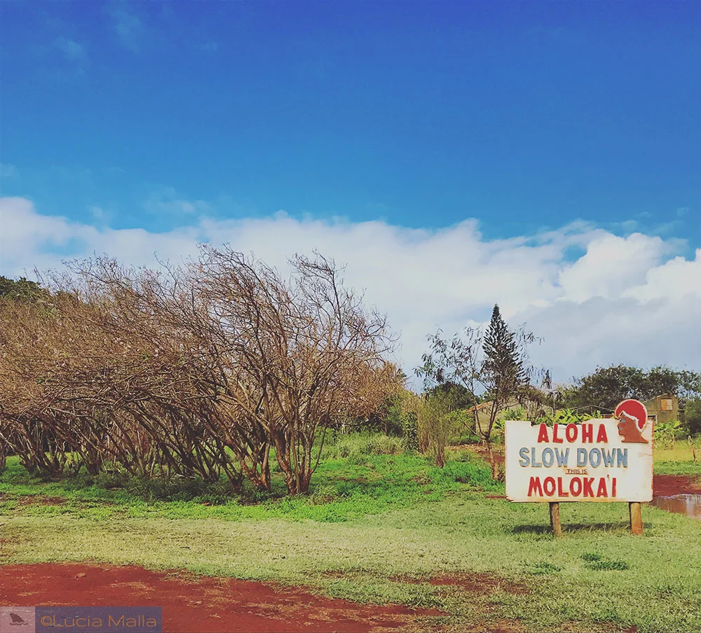 Slow down em Molokai - Havaí