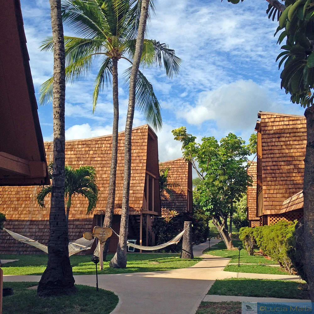 Hotel Molokai - Havaí