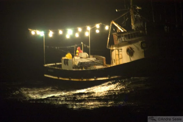Pesca Atlântico Norte brasileiro - noturno