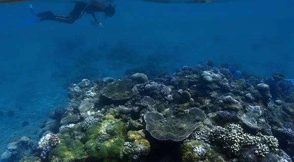 Grandes Points de mergulho – Atol de Rongelap