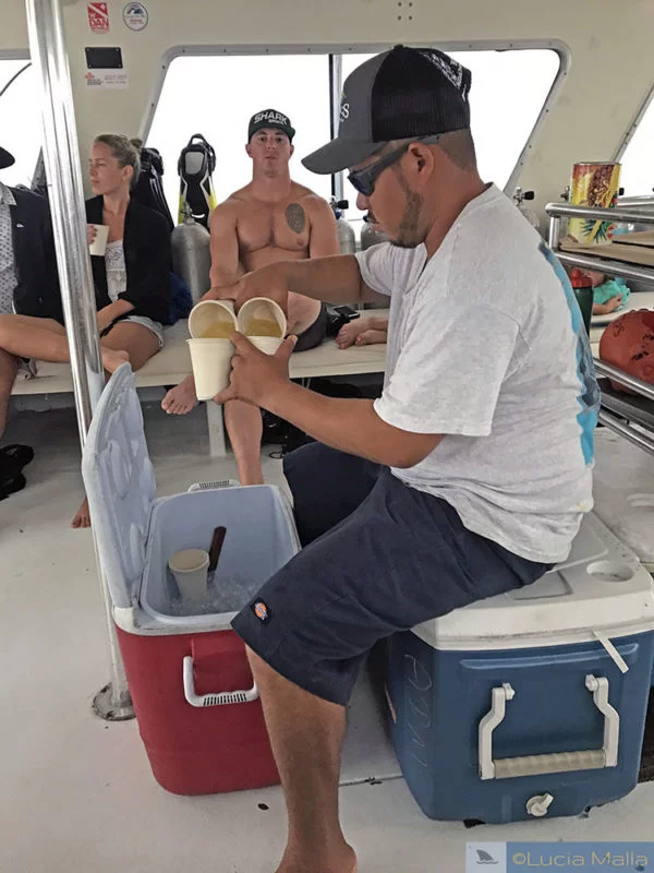 Panty ripper no barco