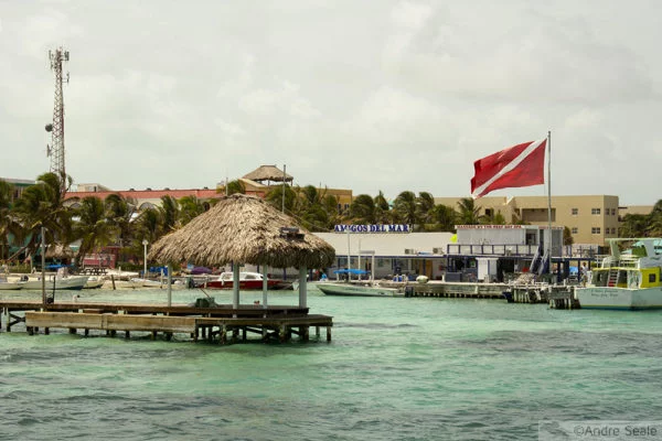 Amigos del Mar - San Pedro - Belize