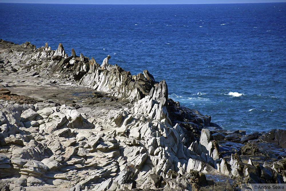 Trilha do Dragon's Teeth - Maui