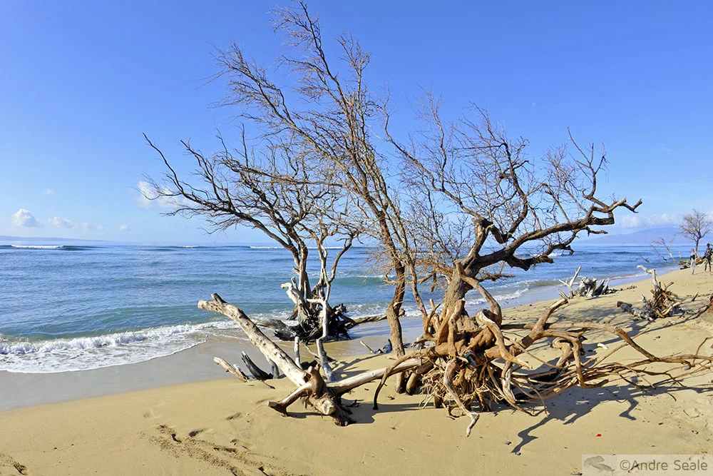 Praia de Papalua - Maui - Havaí