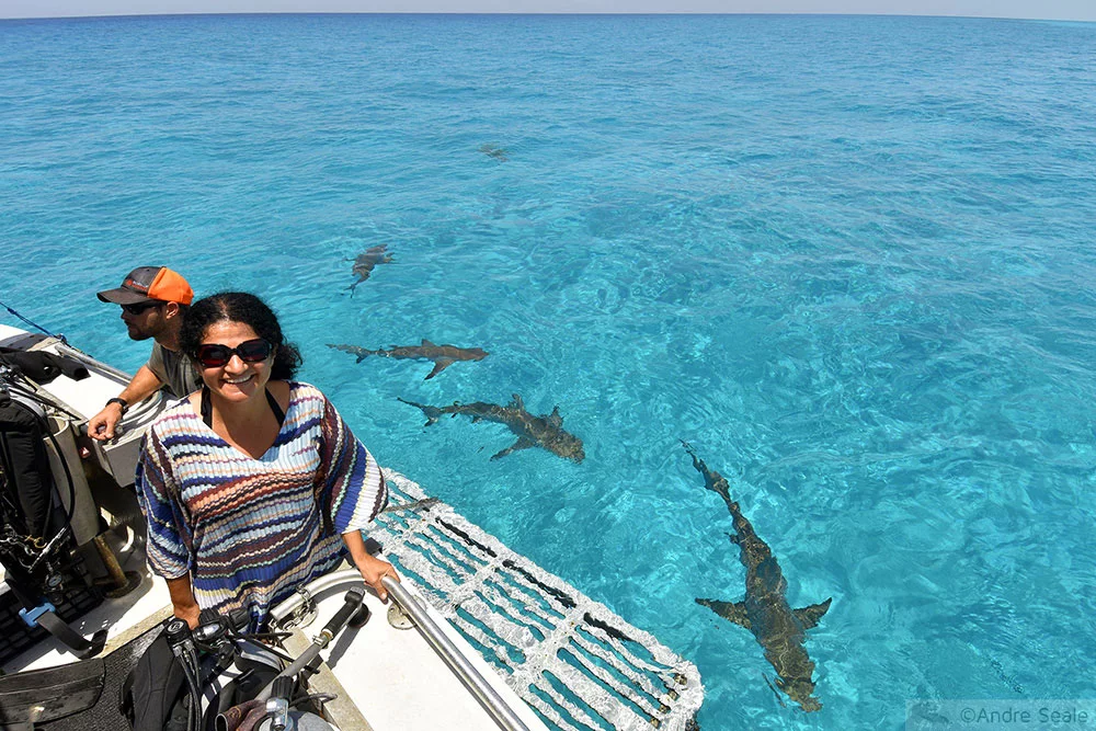 Barco de operação de mergulho - Tiger Beach - Bahamas