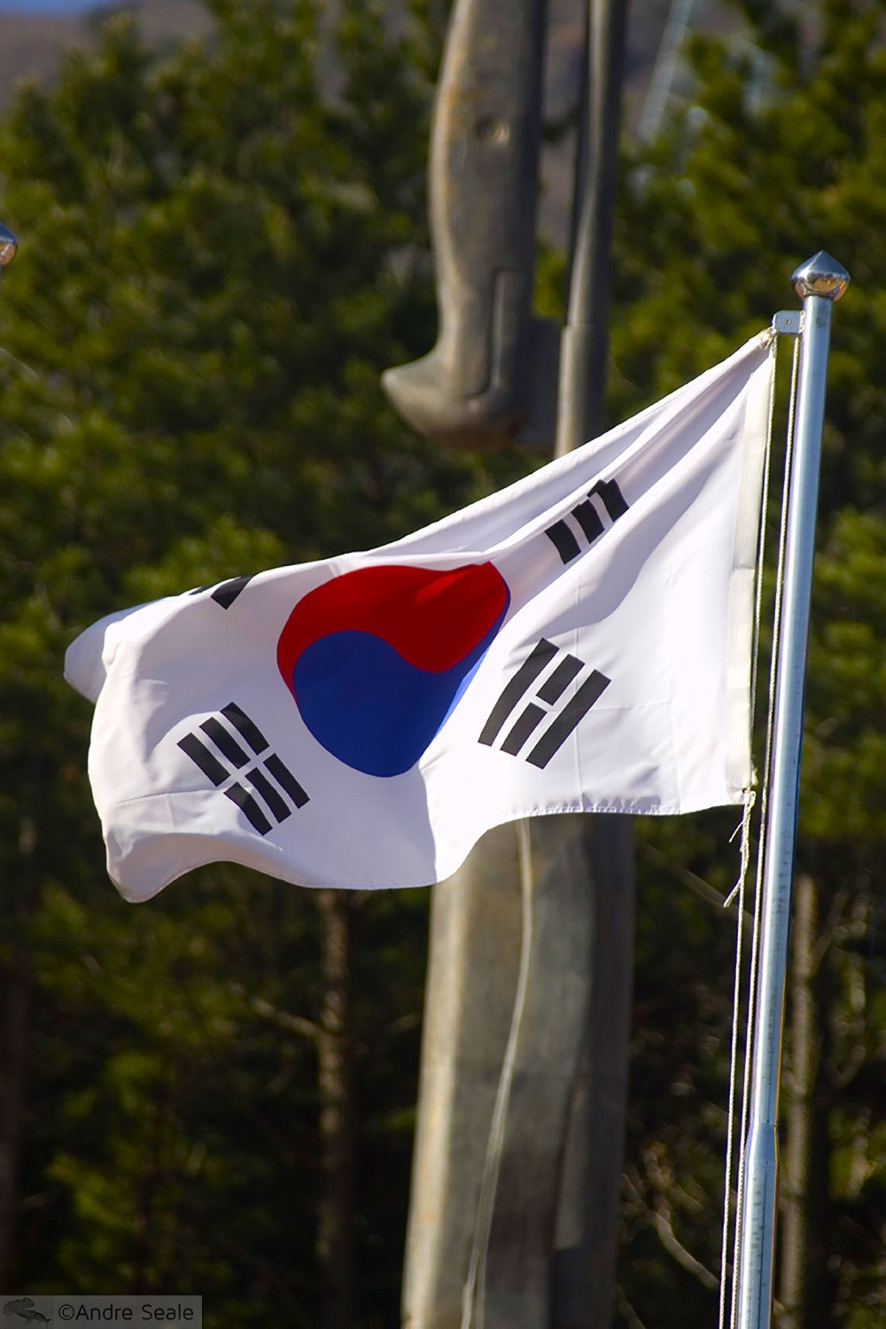 Bandeira da Coréia do Sul