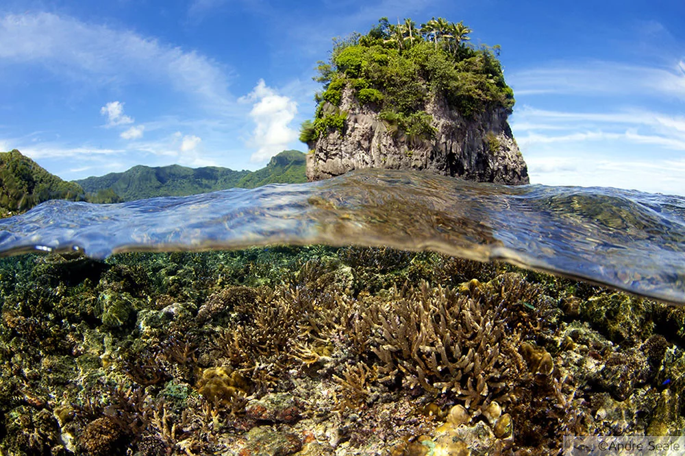 Snorkel em Samoa Americana