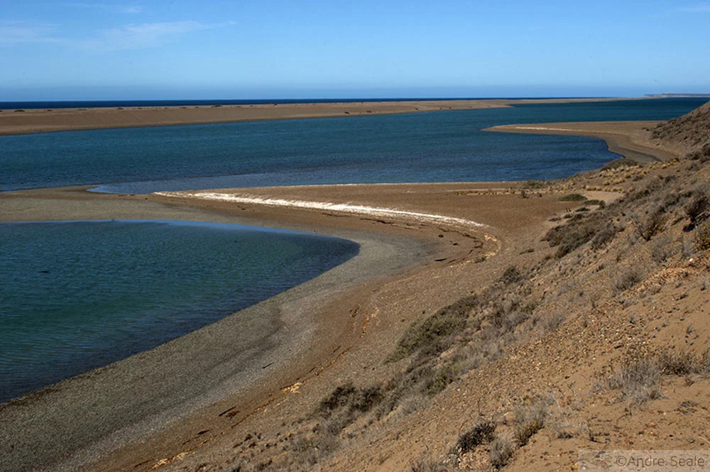 Calleta Valdés - Patagônia Argentina - Darwin slept here - Eric Simons