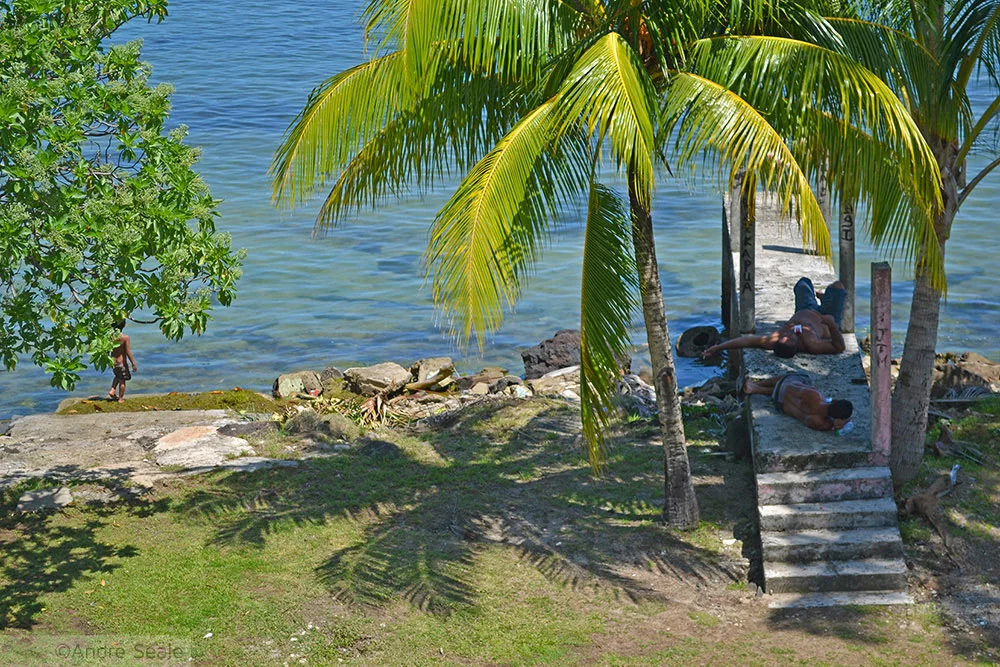A importância do sono - Por que nós dormimos - Soneca da tarde numa ilha tropical
