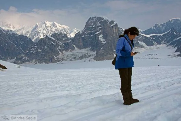 Twittando no Denali.